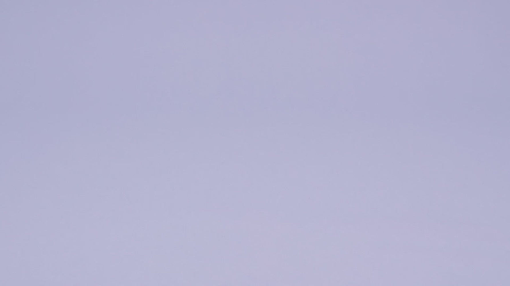 Mattel Mega Barbie - Pranje hišnih ljublenčkov(HHP89)